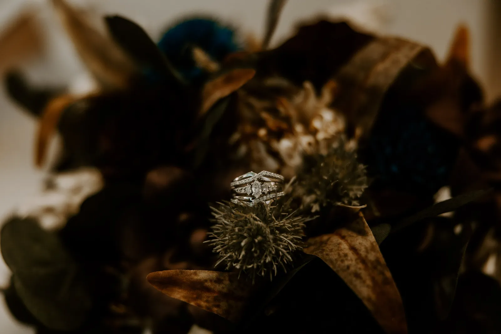 Wedding rings resting on a thistle in a dark bouquet