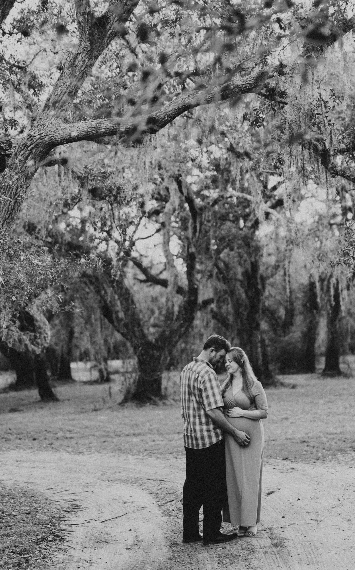 Couple embracing beneath a large oak, in black and white