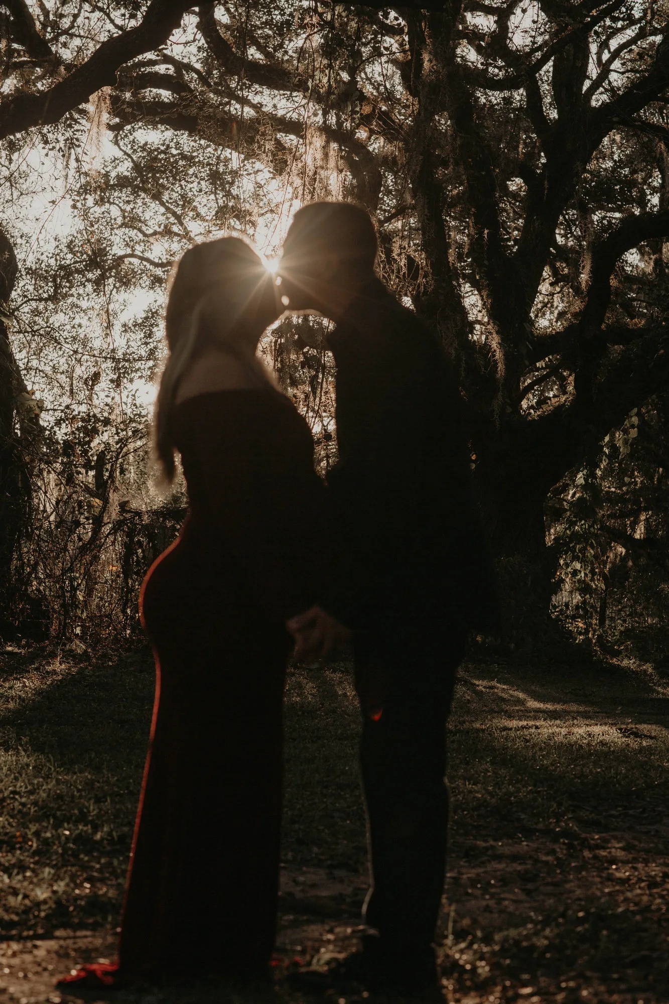Couple silhouetted under the oaks, the sun between them