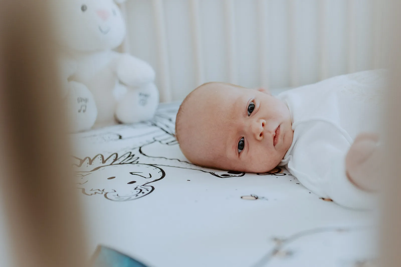 Newborn lying awake in his crib beside a toy rabbit