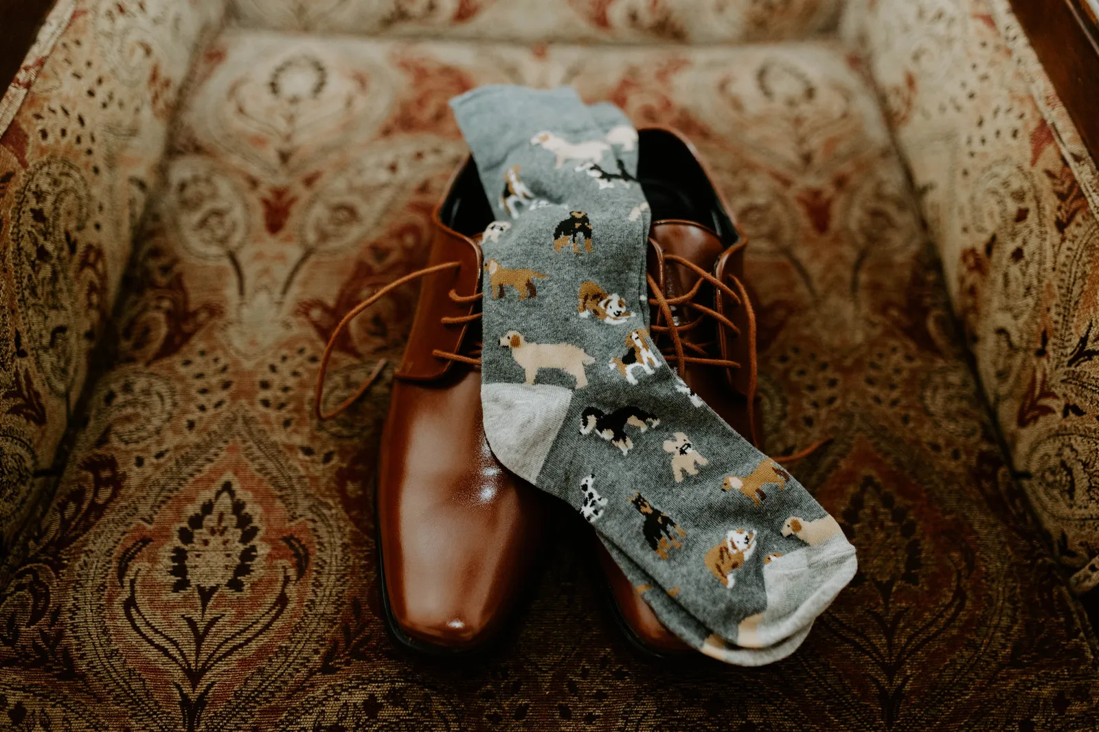 Dog-print socks draped over brown dress shoes