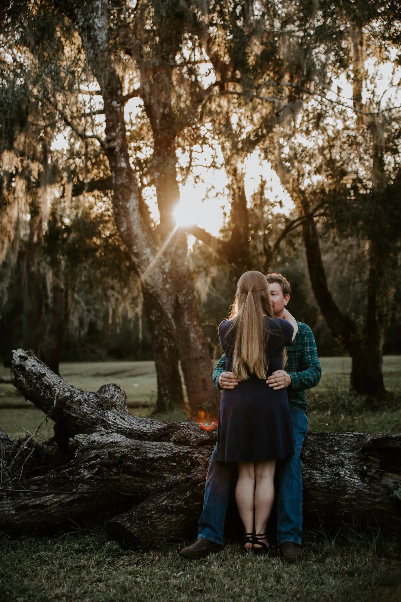 Couple kissing beside a fallen tree, the sun flaring behind them