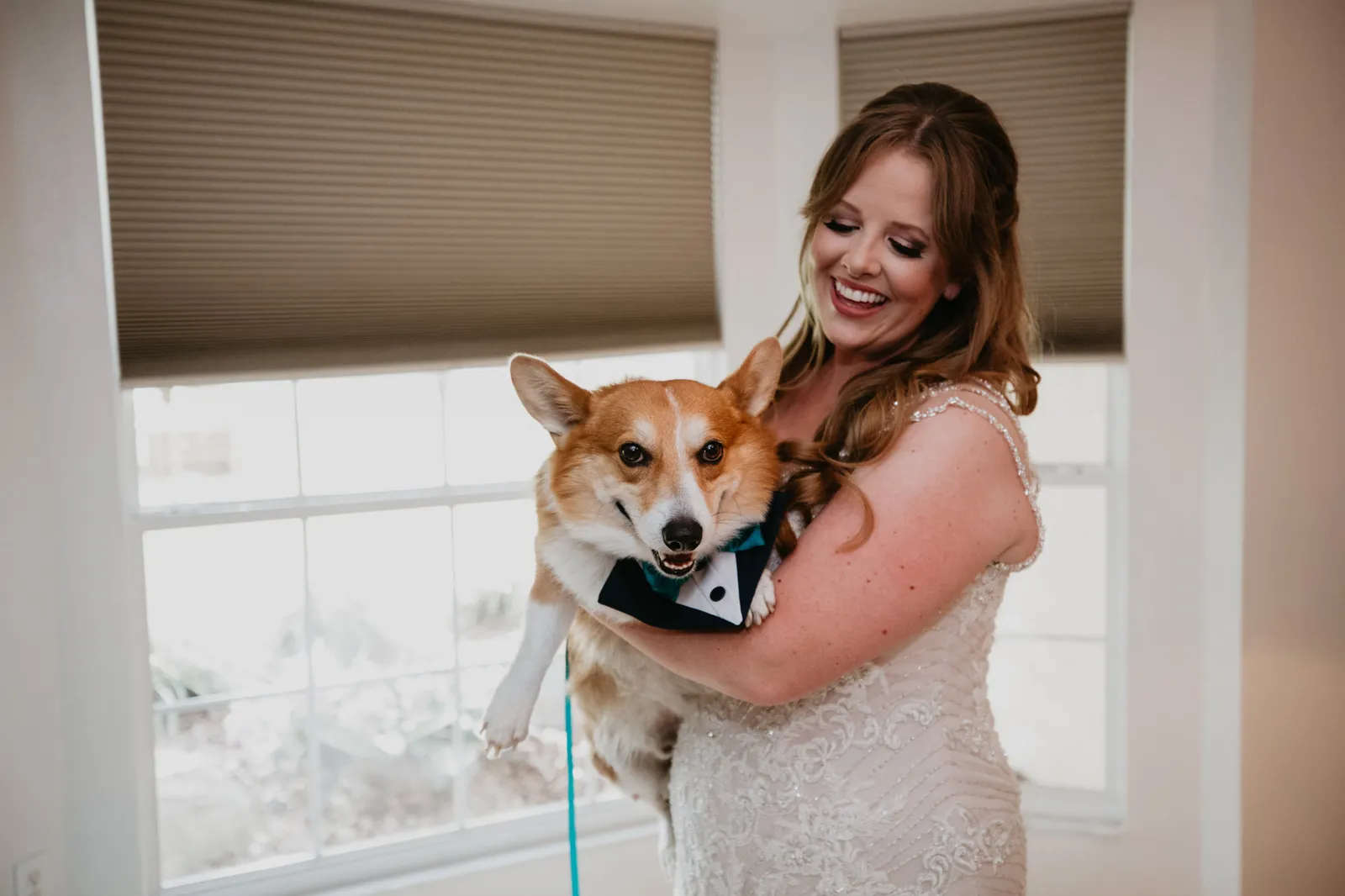 Bride holding a corgi dressed in a tuxedo bib